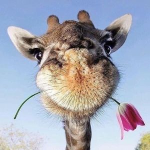 Meet your Posher, Michele